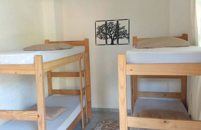 Chácara Sorriso 1 - Photo 7