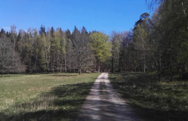 4 Person Holiday Home in Frederiksvaerk-by Traum - Foto 19