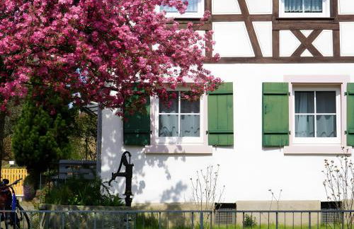 Alte Schmiede - Foto 22