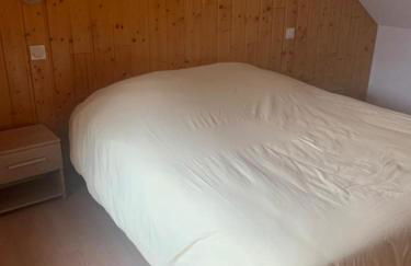 Les Enfetchores - apartment overlooking la Meije - Photo 50