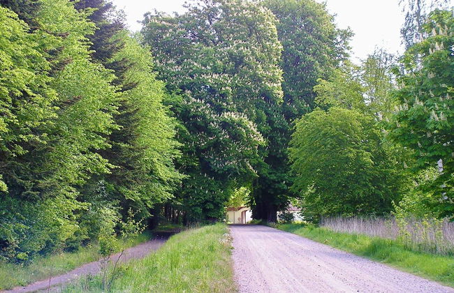 6 Person Holiday Home in Taastrup - Photo 21