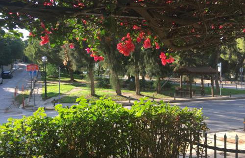A2 Cute Vouliagmeni Apt in a Unique Spot - Foto 30