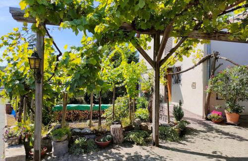 Ferienwohnung Gutermuth Obereisenheim - Foto 15