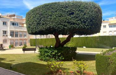 Torrevieja 2 bedrooms Appartment - Foto 18