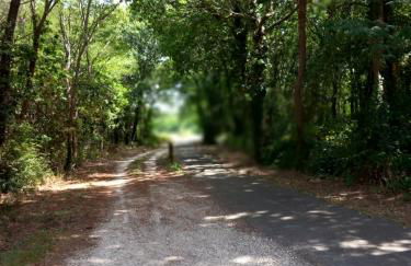 Clos des Loriots - Foto 30