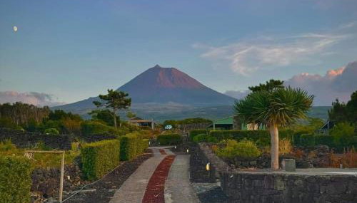 Refúgio da Montanha - Foto 2, Garden