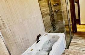 Casa Stelvio - Photo 3