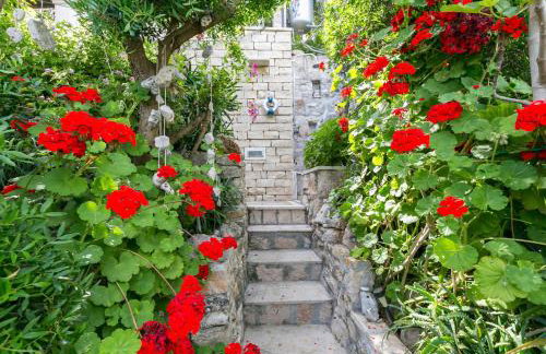 Apartments by the sea Cove Donja Kruscica - Donja Krusica, Solta - 11146 - Photo 9