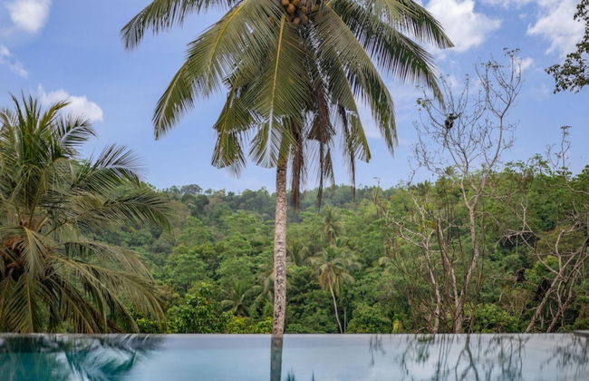 Luxurious 07 Bedroom Hilltop Villa With Private Gym - Photo 11