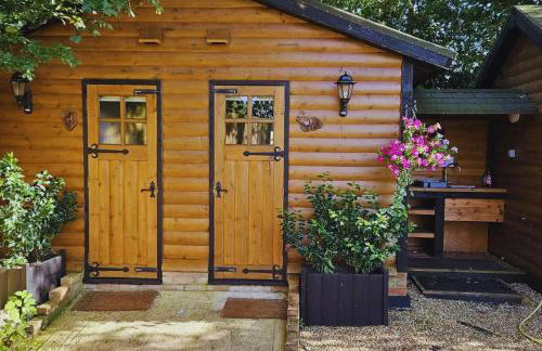 Bears House - Foto 15