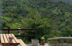 La Casina del Cabecin en Parque Natural de Redes - Foto 5