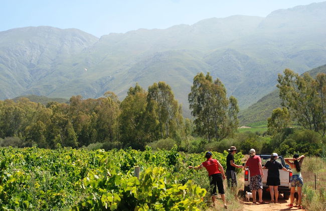 Die Ou Huis - Foto 29