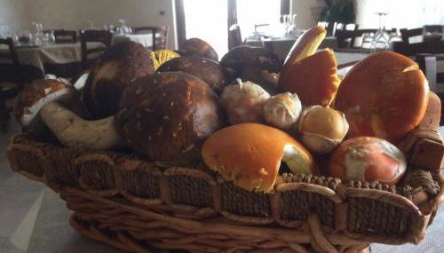 Agriturismo Terra Verde - Foto 2