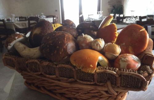 Agriturismo Terra Verde - Foto 2