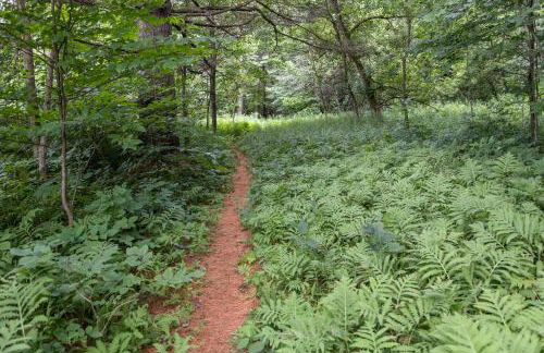 Modern Tiny House with hot tub & river near Stowe - Foto 23