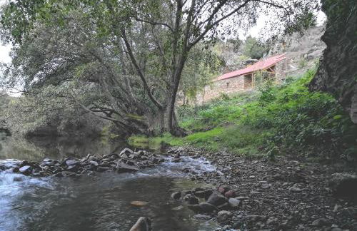 Casa do Moleiro - Foto 15