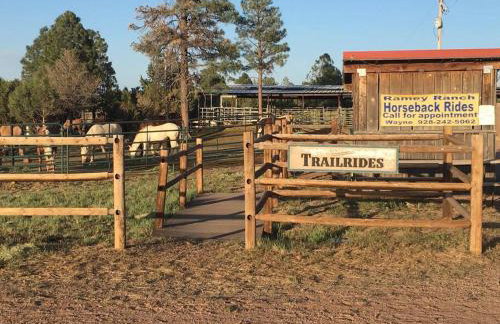 Cabin with Wild Horses, Fireplace, Dog Friendly & StarLink - Foto 6