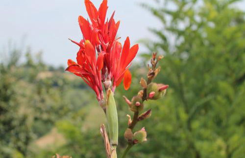 La Rupe del Falco - Foto 30