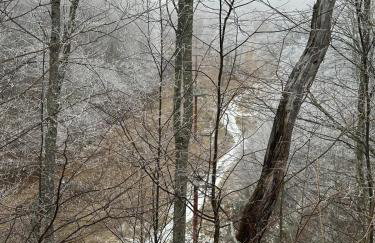 Appalachian Hideaway - Foto 54