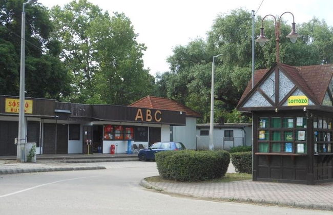 Cozy Family Cottage at the Lake Balaton - Foto 48