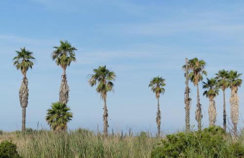 Luminoso apartamento Coma-ruga a 3 min de la playa - Foto 19