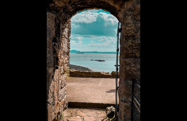 Paseo en barco por los puentes del Forth + Abadía de Inchcolm - Foto 14
