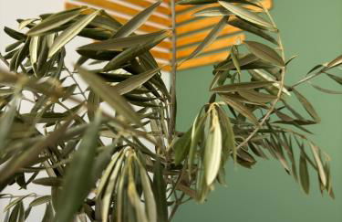 La Pastira, 6 - Foto 4