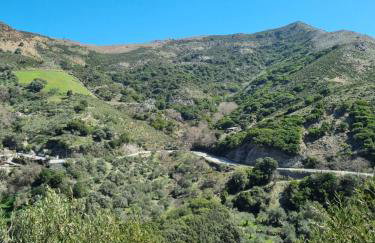 Mesavlia Traditional Stone House - Photo 41