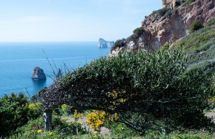 Il Veliero Tanca Piras - Foto 52