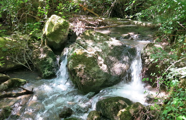 Acqua Santa - Foto 19