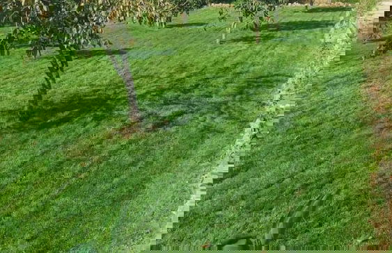 Anasa Residence - Foto 8