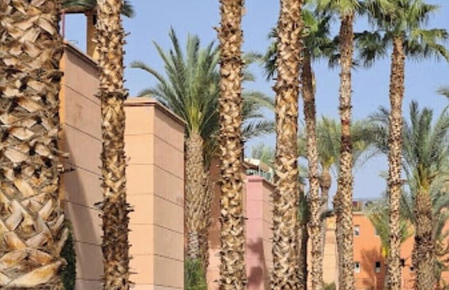 Riad Beni Youssef - Photo 51