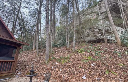 Beautiful Wood Cabin in Red River Gorge - Foto 28