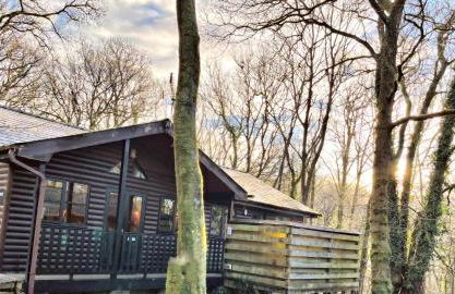 Goldcrest 1-Hot Tub-Woodland Lodges-Carmarthenshire-Tenby - Photo 11