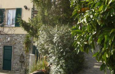 Agriturismo OlivArancio - Foto 53