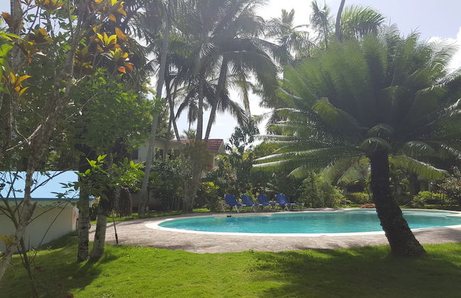 Oasis Hotel Las Terrenas - Foto 22