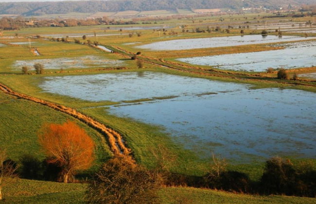 Shepherds Hut Near Exmoor National Park - Foto 40