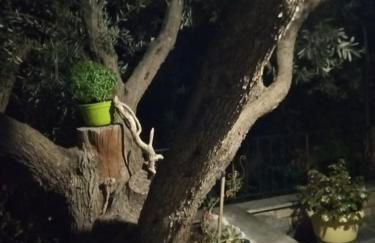 Violetta Studios & Apartments - Foto 44