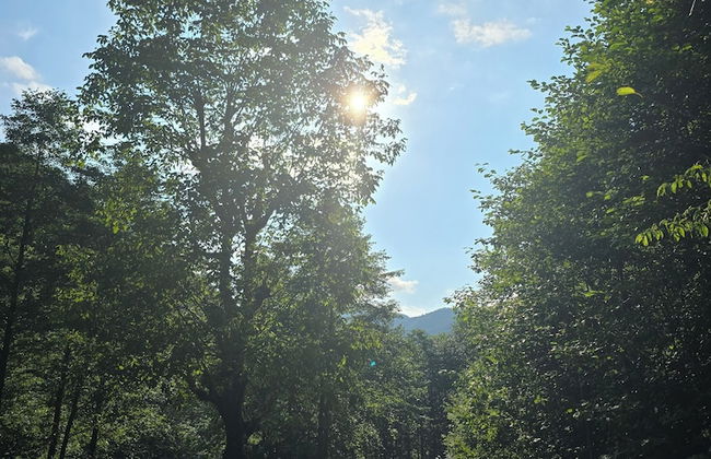 Baraka bungalov - Foto 54