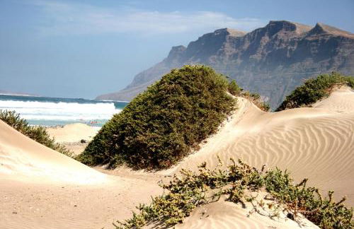 El Pescador - Foto 17