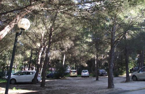 T2 climatisé à 500m de la plage sur la presqu'ile de Saint Mandrier sur Mer - Photo 17