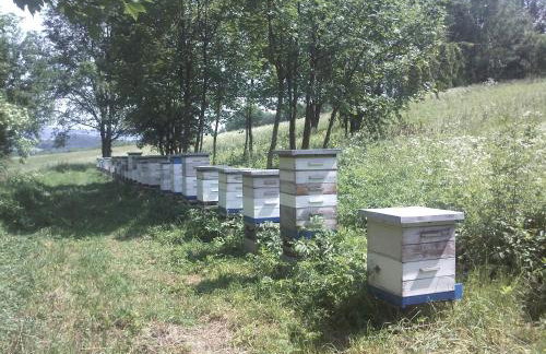 Dom Gościnny pod Zamkiem Wleń - Foto 56