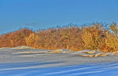 Kastanienhof - Foto 59