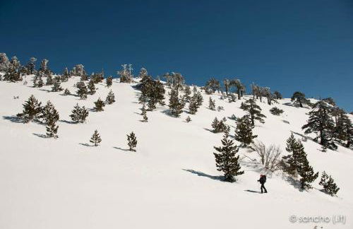 Tana di Zia Nature, Yourself, Love - Foto 53