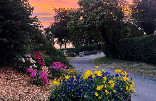 Oak Lodge, South View Lodges, Exeter - Foto 25