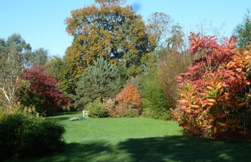 Le cottage de Savigny - Foto 12