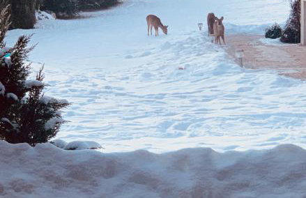 Apartamenty Euphoria - Foto 22