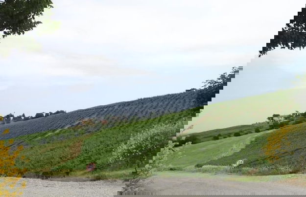 Agriturismo Borgo delle Vigne - Foto 30