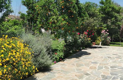 Kardiakafti Village - Foto 37