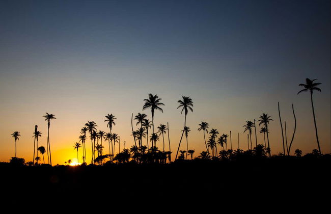 Sunrise Boat Ride - Foto 3